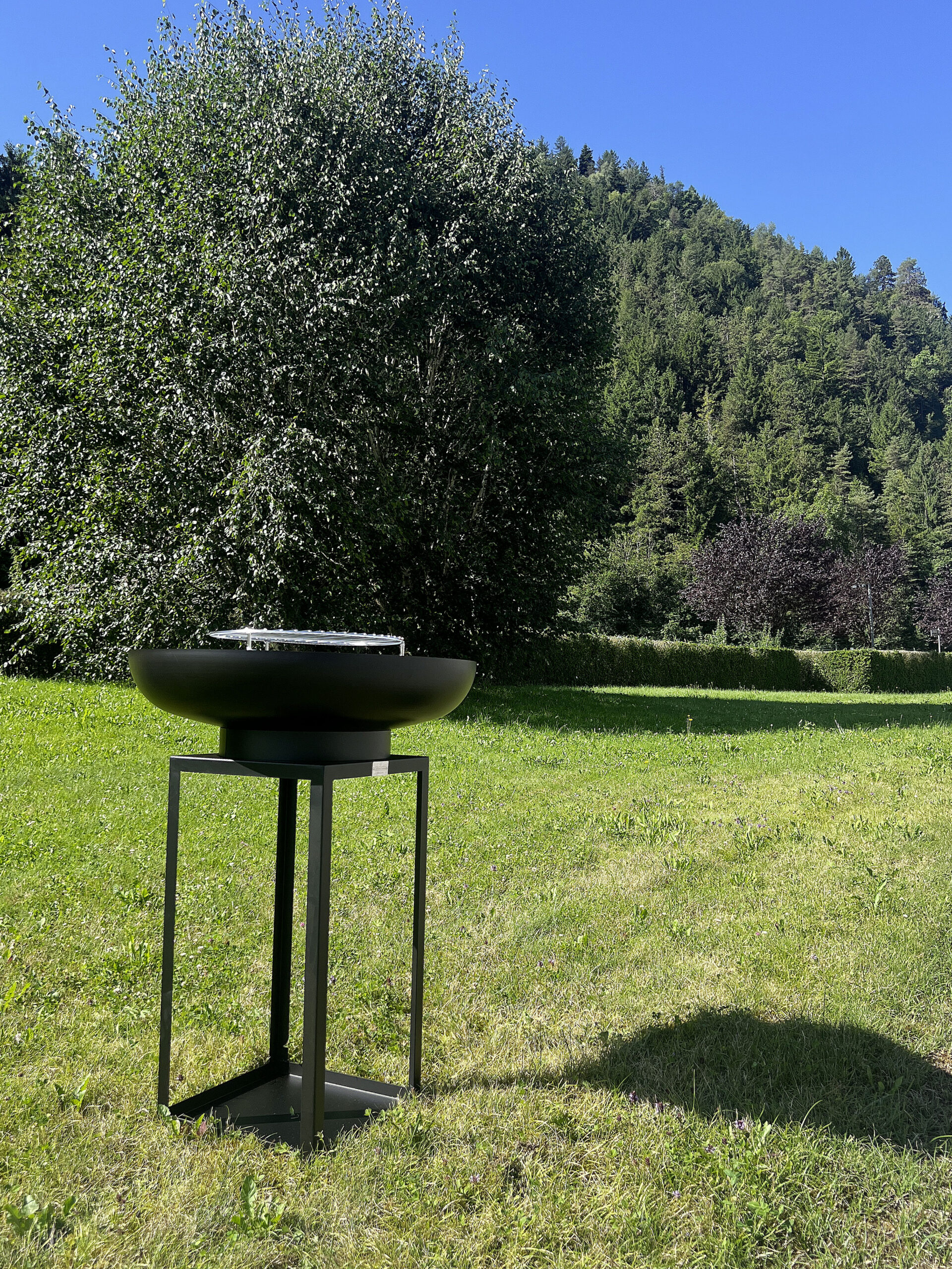 Barbecue Ara - immagine 4