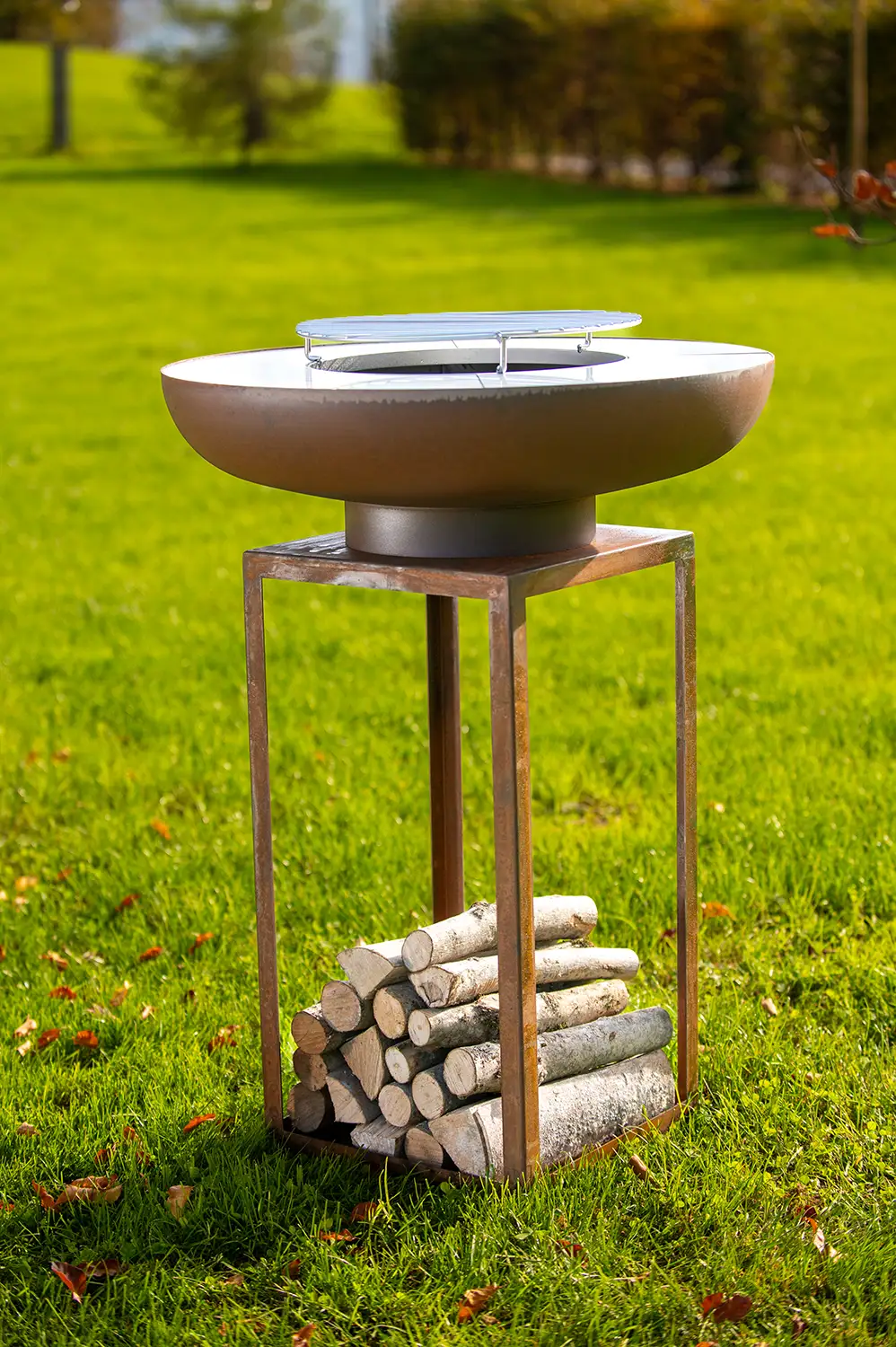 Barbecue Ara - immagine 3