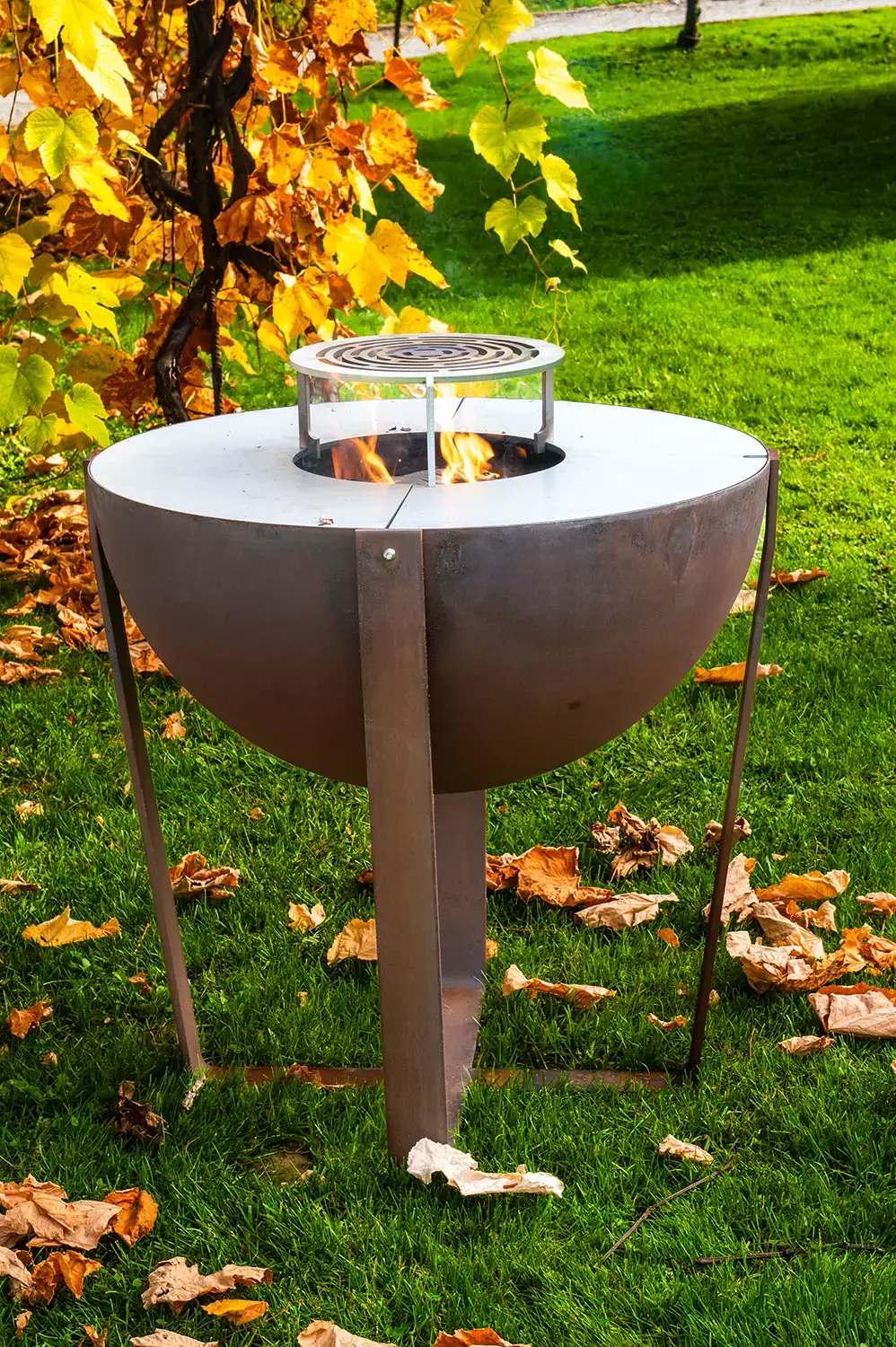 Barbecue Iris - immagine 2